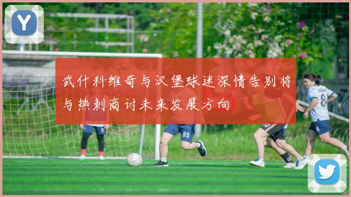 武什科维奇与汉堡球迷深情告别将与热刺商讨未来发展方向