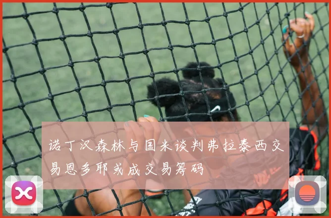 诺丁汉森林与国米谈判弗拉泰西交易恩多耶或成交易筹码